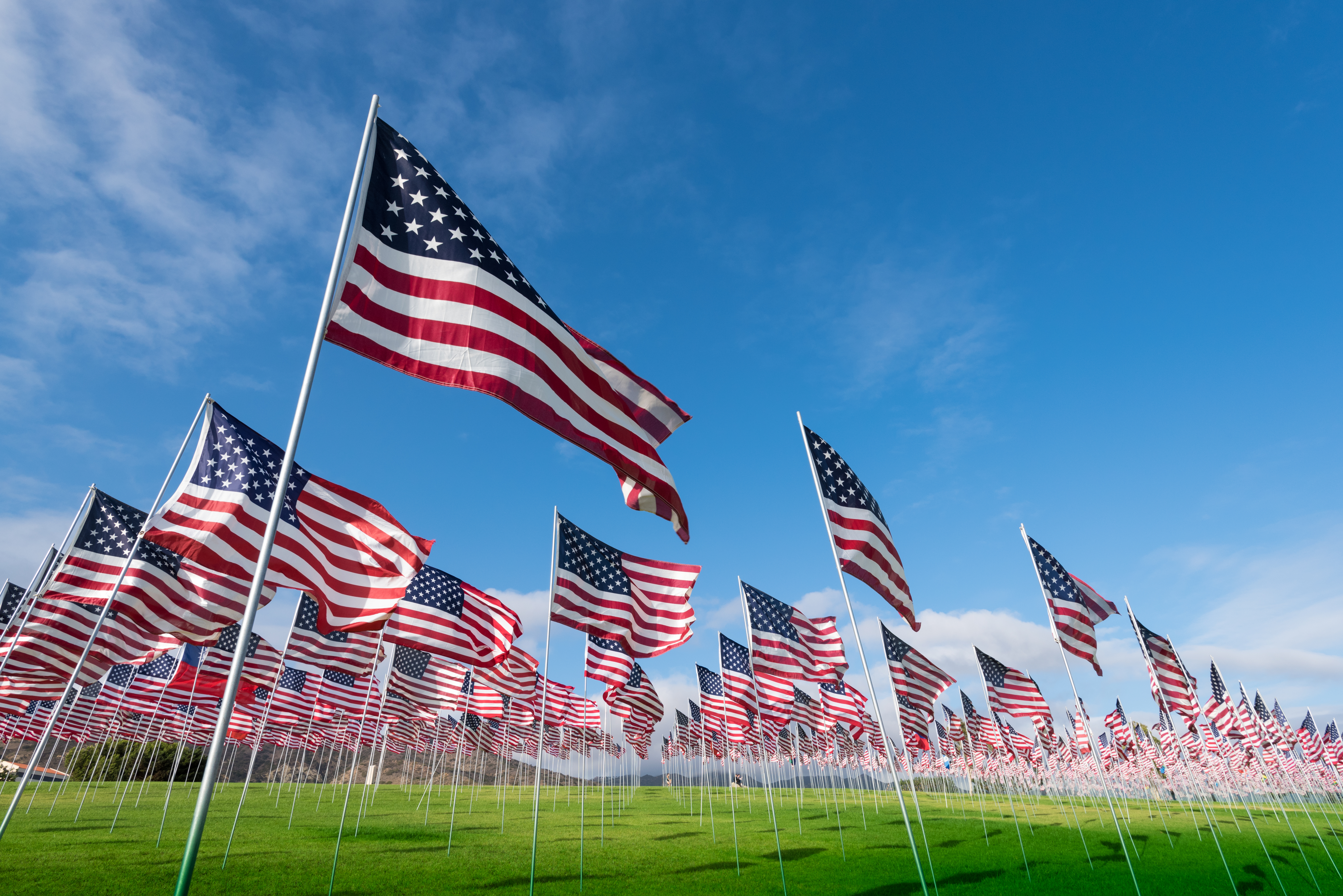 A field of hundreds of American flags. Commemorating veteran's day, memorial day or 9/11.