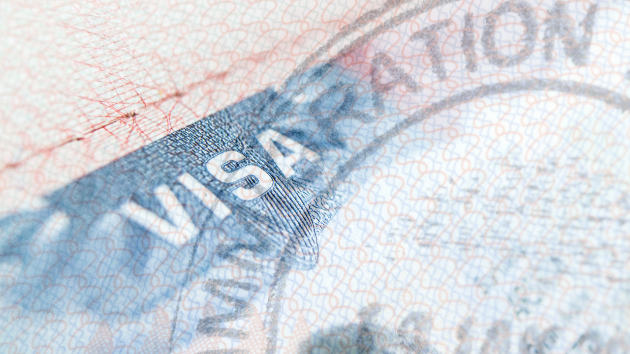 Visa Immigration Image